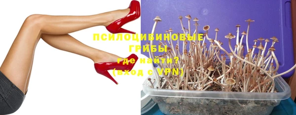apvp Алзамай