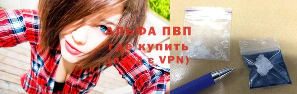 дживик Надым