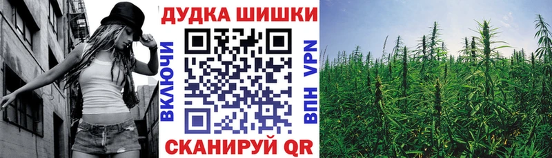 Шишки марихуана планчик  Ладушкин 